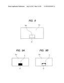 WASTE INK ABSORBENT MEMBER, AND WASTE INK CONTAINER AND INK JET RECORDING     APPARATUS EQUIPPED WITH WASTE INK ABSORBENT MEMBER diagram and image