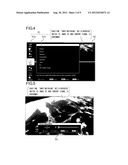 DISPLAY DEVICE diagram and image