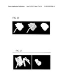 System and Method for Three-Dimensional Image Rendering and Analysis diagram and image