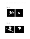 System and Method for Three-Dimensional Image Rendering and Analysis diagram and image