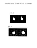 System and Method for Three-Dimensional Image Rendering and Analysis diagram and image