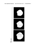 System and Method for Three-Dimensional Image Rendering and Analysis diagram and image