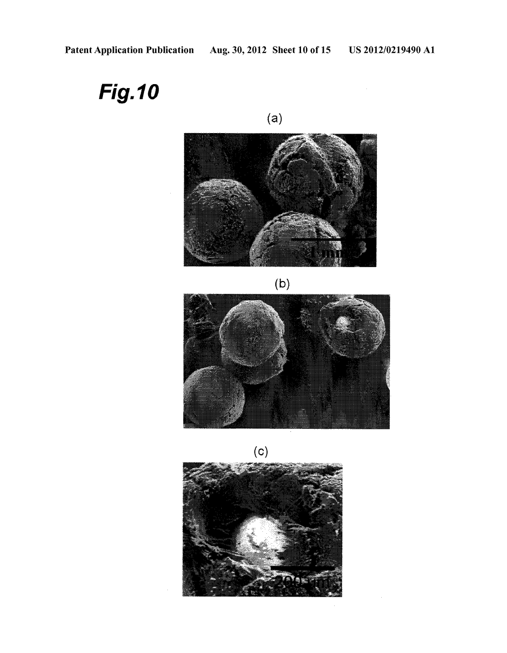 METHOD FOR SIMULTANEOUSLY PRODUCING CARBON NANOTUBES AND HYDROGEN, AND     DEVICE FOR SIMULTANEOUSLY PRODUCING CARBON NANOTUBES AND HYDROGEN - diagram, schematic, and image 11