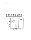 NOVEL TETRAAZA MACROCYCLIC COMPOUND, PREPARATION METHOD THEREOF AND USE     THEREOF diagram and image