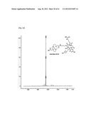 NOVEL TETRAAZA MACROCYCLIC COMPOUND, PREPARATION METHOD THEREOF AND USE     THEREOF diagram and image