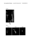 NOVEL TETRAAZA MACROCYCLIC COMPOUND, PREPARATION METHOD THEREOF AND USE     THEREOF diagram and image