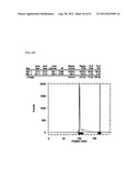 NOVEL TETRAAZA MACROCYCLIC COMPOUND, PREPARATION METHOD THEREOF AND USE     THEREOF diagram and image