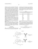 NOVEL TETRAAZA MACROCYCLIC COMPOUND, PREPARATION METHOD THEREOF AND USE     THEREOF diagram and image