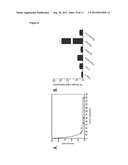 COMPOSITIONS AND METHODS FOR DETECTING PLECTIN-1 AS A BIOMARKER FOR CANCER diagram and image