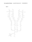 COMPOSITIONS AND METHODS FOR DETECTING PLECTIN-1 AS A BIOMARKER FOR CANCER diagram and image