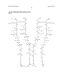 COMPOSITIONS AND METHODS FOR DETECTING PLECTIN-1 AS A BIOMARKER FOR CANCER diagram and image