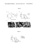 CELLULOSE-BASED NANOPARTICLES FOR DRUG DELIVERY diagram and image