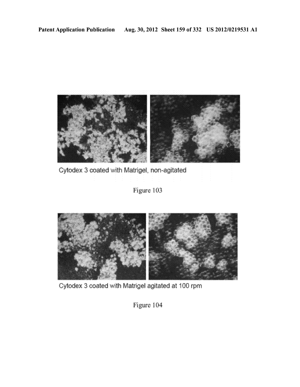 Microcarriers for Stem Cell Culture - diagram, schematic, and image 160