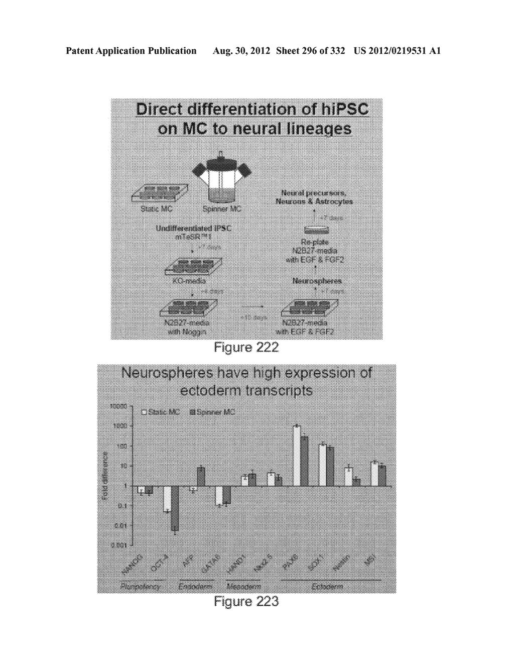 Microcarriers for Stem Cell Culture - diagram, schematic, and image 297