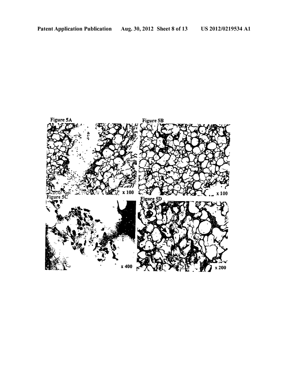 FREEZE-DRIED FIBRIN MATRICES AND METHODS FOR PREPARATION THEREOF - diagram, schematic, and image 09