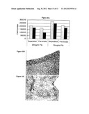 FREEZE-DRIED FIBRIN MATRICES AND METHODS FOR PREPARATION THEREOF diagram and image