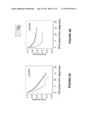 PODXL Protein in Colorectal Cancer diagram and image