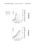 PODXL Protein in Colorectal Cancer diagram and image