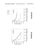 PODXL Protein in Colorectal Cancer diagram and image