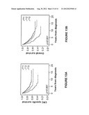 PODXL Protein in Colorectal Cancer diagram and image