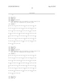 Combination therapy of a type II anti-CD20 antibody with a proteasome     inhibitor diagram and image