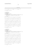 Combination therapy of a type II anti-CD20 antibody with a proteasome     inhibitor diagram and image