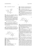 PHARMACEUTICAL COMBINATIONS COMPRISING A PYRIDO [4,3-D] PYRIMIDINE DERIVED     HSP90-INHIBITOR AND A HER2 INHIBITOR diagram and image