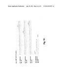 HUMAN MONOCLONAL ANTIBODIES TO PROTEIN TYROSINE KINASE 7 (PTK7) AND     METHODS FOR USING ANTI-PTK7 ANTIBODIES diagram and image