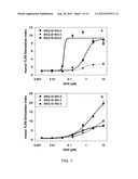 COMBINATION MOTIF IMMUNE STIMULATORY OLIGONUCLEOTIDES WITH IMPROVED     ACTIVITY diagram and image