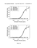 COMBINATION MOTIF IMMUNE STIMULATORY OLIGONUCLEOTIDES WITH IMPROVED     ACTIVITY diagram and image