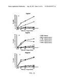 COMBINATION MOTIF IMMUNE STIMULATORY OLIGONUCLEOTIDES WITH IMPROVED     ACTIVITY diagram and image