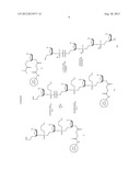 COMBINATION MOTIF IMMUNE STIMULATORY OLIGONUCLEOTIDES WITH IMPROVED     ACTIVITY diagram and image