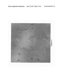 DISULFIDE-LINKED POLYETHYLENEGLYCOL/PEPTIDE CONJUGATES FOR THE     TRANSFECTION OF NUCLEIC ACIDS diagram and image