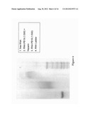 DISULFIDE-LINKED POLYETHYLENEGLYCOL/PEPTIDE CONJUGATES FOR THE     TRANSFECTION OF NUCLEIC ACIDS diagram and image