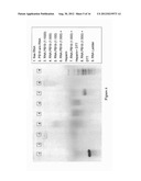 DISULFIDE-LINKED POLYETHYLENEGLYCOL/PEPTIDE CONJUGATES FOR THE     TRANSFECTION OF NUCLEIC ACIDS diagram and image