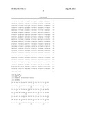 INTRANASAL SPRAY-TYPE TUBERCULOSIS VACCINE USING PARAMYXOVIRUS VECTOR diagram and image