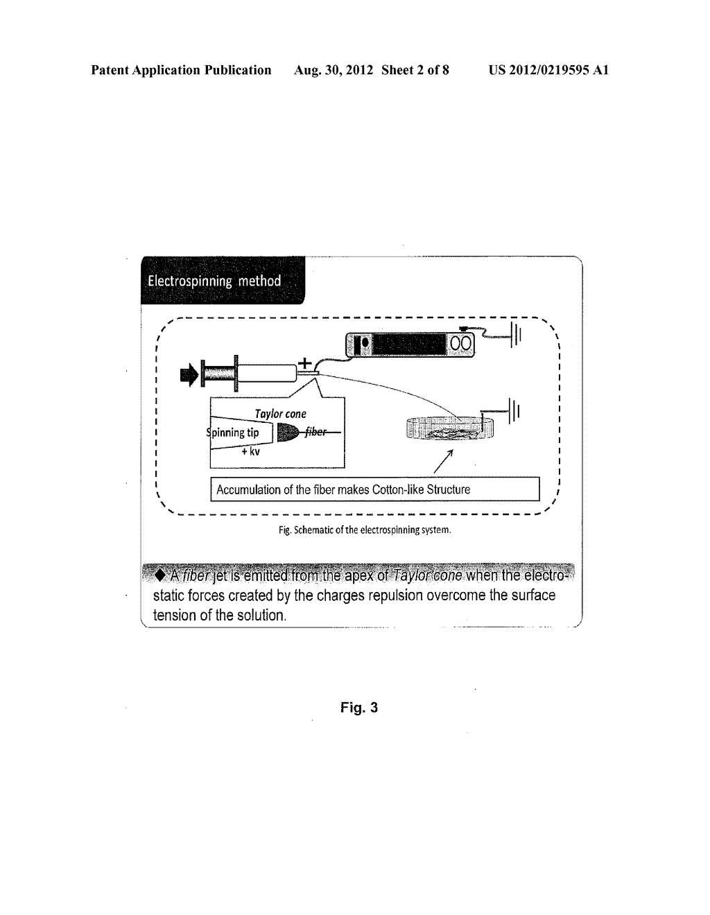 BIODEGRADABLE FIBER AND FIBER WADDING FOR FILLING BONE DEFECTS AND METHOD     FOR PRODUCING THE SAME - diagram, schematic, and image 03