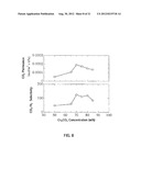 CO2-FACILITATED TRANSPORT MEMBRANE AND METHOD FOR PRODUCING THE SAME diagram and image