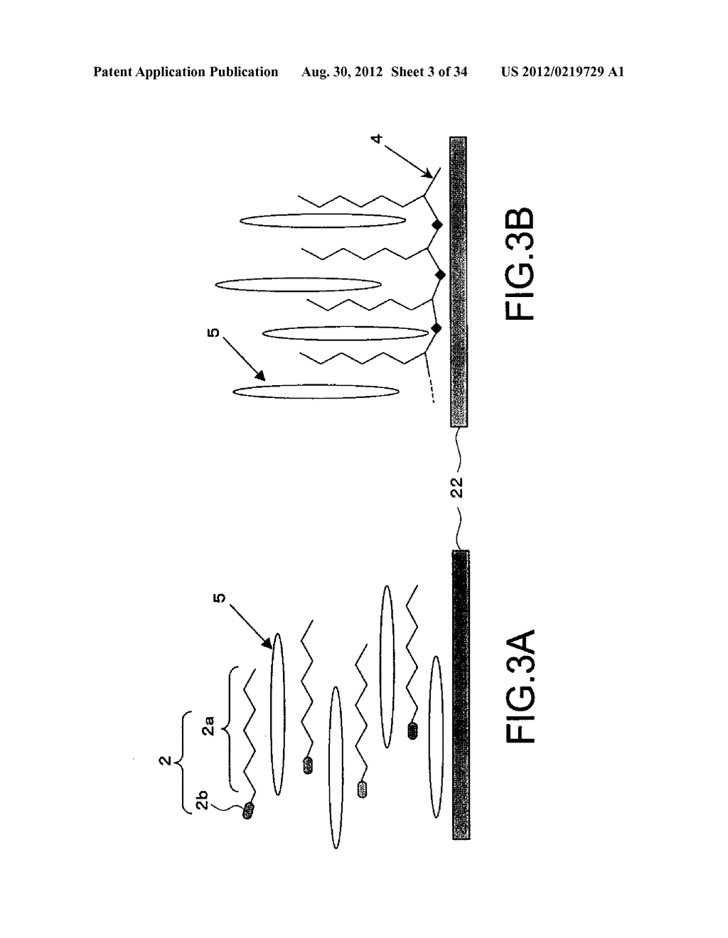 LIQUID CRYSTAL DISPLAY AND METHOD OF MANUFACTURING THE SAME - diagram, schematic, and image 04