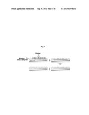 POROUS STRUCTURE FOR FORMING ANTI-FINGERPRINT COATING, METHOD OF FORMING     ANTI-FINGERPRINT COATING, SUBSTRATE COMPRISING THE ANTI-FINGER-PRINT     COATING FORMED BY THE METHOD, AND PRODUCT COMPRISING THE SUBSTRATE diagram and image