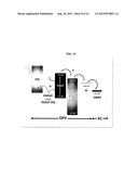 INTEGRATED ELECTRODE ARCHITECTURES FOR ENERGY GENERATION AND STORAGE diagram and image