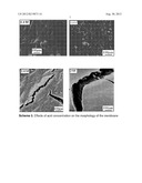 PROTON EXCHANGE MEMBRANE FUEL CELL diagram and image