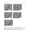 PROTON EXCHANGE MEMBRANE FUEL CELL diagram and image