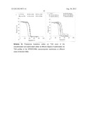 PROTON EXCHANGE MEMBRANE FUEL CELL diagram and image