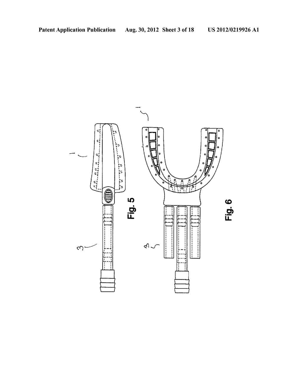 Cleaning Device for Teeth and Mouth, and Cleaning Methods - diagram, schematic, and image 04