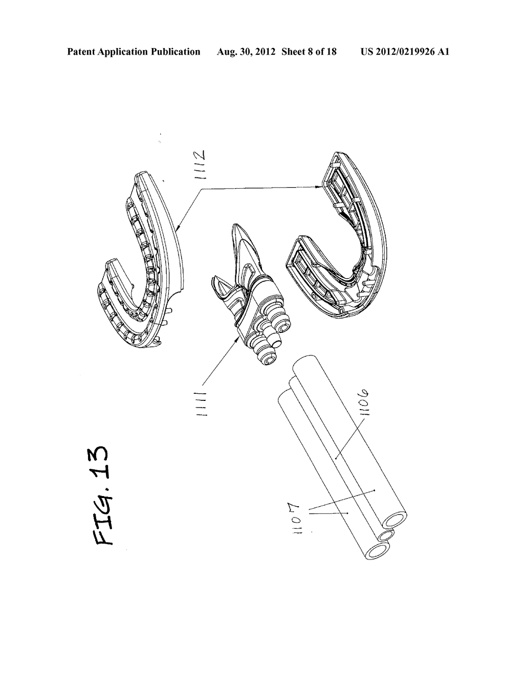 Cleaning Device for Teeth and Mouth, and Cleaning Methods - diagram, schematic, and image 09