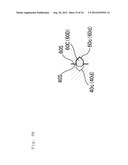 ARTICULATOR diagram and image