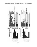 DNA METHYLATION MARKERS ASSOCIATED WITH THE CPG ISLAND METHYLATOR     PHENOTYPE (CIMP) IN HUMAN COLORECTAL CANCER diagram and image