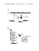 GENOTYPING diagram and image