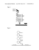 GENOTYPING diagram and image